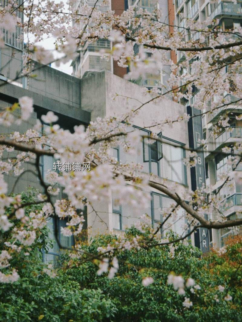 恩施市毕兹卡江景民宿转让(独栋)