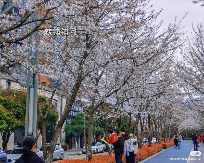 恩施毕兹卡江景民宿转让(独栋)
