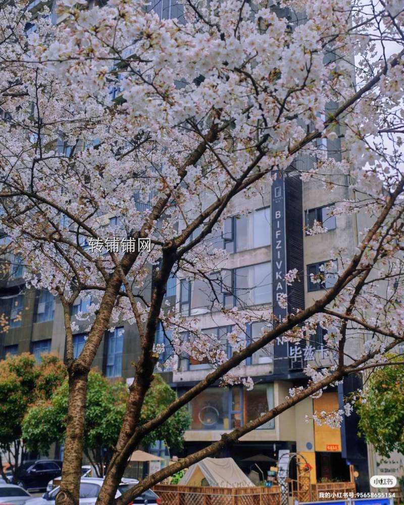 恩施毕兹卡江景民宿转让(独栋)